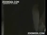 Zoo XXX Movie - Classic dog fuckers show how to make their pets cum